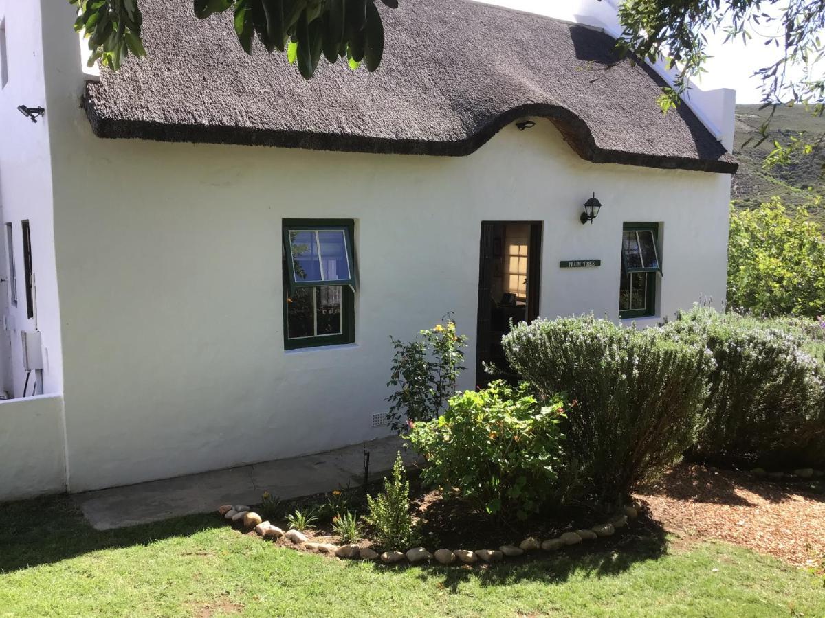 Plum Tree Holiday home McGregor